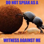 Inscription on Scarab amulets in ancient Egypt. | DO NOT SPEAK AS A; WITNESS AGAINST ME | image tagged in dung beetle,kephra,magick,protection | made w/ Imgflip meme maker