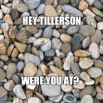 "Tillerson's as dumb as a rock" | HEY TILLERSON; WERE YOU AT? | image tagged in stones,tillerson,dumb,dumb tillerson,deepstate | made w/ Imgflip meme maker