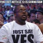 Shocked WWE Fan | WHEN I FIND OUT ARTICLE 13 IS GONNA BAN MEMES | image tagged in shocked wwe fan,article 13 | made w/ Imgflip meme maker