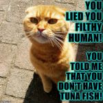 YOU LIED | YOU LIED YOU FILTHY HUMAN! YOU TOLD ME THAT YOU DON'T HAVE TUNA FISH! | image tagged in you lied | made w/ Imgflip meme maker