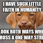 Disappointed Dog | I HAVE SUCH LITTLE FAITH IN HUMANITY; I LOOK BOTH WAYS WHEN I CROSS A ONE WAY STREET | image tagged in disappointed dog | made w/ Imgflip meme maker