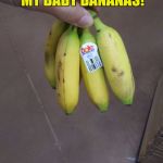 Bb | I'M PROUD OF MY BABY BANANAS! | image tagged in bb | made w/ Imgflip meme maker