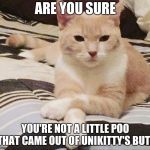 Seriously, Unikitty craps out people | ARE YOU SURE; YOU'RE NOT A LITTLE POO THAT CAME OUT OF UNIKITTY'S BUTT | image tagged in skeptical cat,unikitty | made w/ Imgflip meme maker