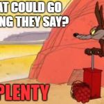 Wile e coyote dynamite | WHAT COULD GO WRONG THEY SAY? PLENTY | image tagged in wile e coyote dynamite | made w/ Imgflip meme maker