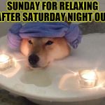 sunday | SUNDAY FOR RELAXING AFTER SATURDAY NIGHT OUT | image tagged in calgon take me away,sunday,dog,funny animals,funny memes,funny meme | made w/ Imgflip meme maker