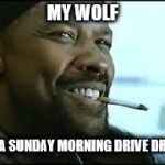 my wolf | MY WOLF; ON A SUNDAY MORNING DRIVE DRIVE | image tagged in training day,sunday,meme,memes,wolf,drive | made w/ Imgflip meme maker