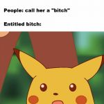 Surprised Pikachu Meme | image tagged in surprised pikachu meme | made w/ Imgflip meme maker