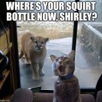 House Cat with Mountain Lion at the door | WHERE’S YOUR SQUIRT BOTTLE NOW, SHIRLEY? | image tagged in house cat with mountain lion at the door | made w/ Imgflip meme maker