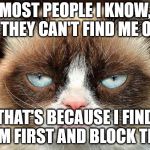 Grumpy Cat Not Amused Meme Generator - Imgflip