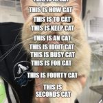 STUPID CAT | THIS IS THIS CAT; THIS IS IS CAT; THIS IS HOW CAT; THIS IS TO CAT; THIS IS KEEP CAT; THIS IS AN CAT; THIS IS IDOIT CAT; THIS IS BUSY CAT; THIS IS FOR CAT; THIS IS FOURTY CAT; THIS IS SECONDS CAT; NOW GO BACK AND READ THE THIRD LETTER OF EVERY SENTENCE OUT LOUD | image tagged in stupid cat | made w/ Imgflip meme maker
