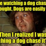 Easily amused | While watching a dog chase it’s tail, I thought, Dogs are easily amused; Then I realized I was watching a dog chase it’s tail | image tagged in gene wilder,memes,dogs | made w/ Imgflip meme maker
