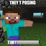 Minecraft garbo | THEY T POSING; TIMY!!!!!!!!!!!!!!!!!! | image tagged in minecraft garbo | made w/ Imgflip meme maker