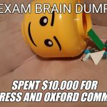 Brain dump | EXAM BRAIN DUMP; SPENT $10,000 FOR STRESS AND OXFORD COMMAS | image tagged in brain dump | made w/ Imgflip meme maker
