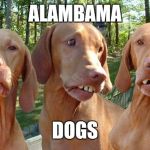 redneck dog teeth | ALAMBAMA; DOGS | image tagged in redneck dog teeth | made w/ Imgflip meme maker
