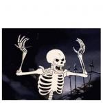 WTF SKELETON WHAT THE FUCK