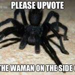tarantula | PLEASE UPVOTE; SO ALL THE WAMAN ON THE SIDE CAN SEE | image tagged in tarantula | made w/ Imgflip meme maker