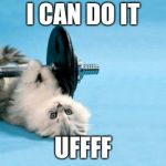 cat fitness | I CAN DO IT; UFFFF | image tagged in cat fitness | made w/ Imgflip meme maker