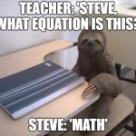 sloth student | TEACHER: 'STEVE, WHAT EQUATION IS THIS?'; STEVE: 'MATH' | image tagged in sloth student | made w/ Imgflip meme maker
