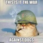 War Cat | THIS IS IT THE WAR; AGAINST DOGS | image tagged in war cat | made w/ Imgflip meme maker