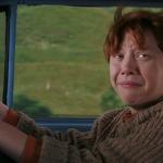 Ron Weasley flying car