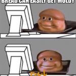 Bread lörd does not like møld | BREAD CAN EASILY GET MOLDY; Fr1ck | image tagged in bread computer,funny,memes | made w/ Imgflip meme maker