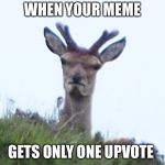 furious deer | WHEN YOUR MEME; GETS ONLY ONE UPVOTE | image tagged in furious deer | made w/ Imgflip meme maker