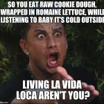 situation | SO YOU EAT RAW COOKIE DOUGH, WRAPPED IN ROMAINE LETTUCE, WHILE LISTENING TO BABY IT'S COLD OUTSIDE; LIVING LA VIDA LOCA AREN'T YOU? | image tagged in situation | made w/ Imgflip meme maker
