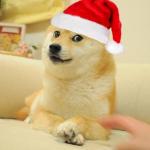 Doge christmas