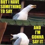 Inhaling Seagull | I'M NOT VERY OUTSPOKEN; BUT I HAVE    SOMETHING     TO SAY; AND I'M GONNA SAY IT; HOLD ON,   GOTTA   POOP FIRST | image tagged in inhaling seagull,memes,out,say,something,hold on | made w/ Imgflip meme maker