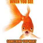 Goldfish | THAT MOMENT WHEN YOU SEE; SOMETHING YOU WANT AT WALMART ON BLACK FRIDAY | image tagged in goldfish | made w/ Imgflip meme maker