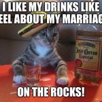alcohol cat | I LIKE MY DRINKS LIKE I FEEL ABOUT MY MARRIAGE... ON THE ROCKS! | image tagged in alcohol cat | made w/ Imgflip meme maker