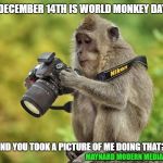Photographer monkey | DECEMBER 14TH IS WORLD MONKEY DAY; AND YOU TOOK A PICTURE OF ME DOING THAT? MAYNARD MODERN MEDIA | image tagged in photographer monkey | made w/ Imgflip meme maker