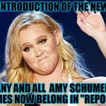 If you know what I mean...  (Reposting with typo correction) | WITH THE INTRODUCTION OF THE NEW STREAMS; ANY AND ALL  AMY SCHUMER MEMES NOW BELONG IN "REPOSTS" | image tagged in amy schumer,memes,reposting my own | made w/ Imgflip meme maker