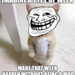 Troll Cat | IMAGINE A TYPE OF WEEK; MAKE THAT WEEK HAPPEN WITHOUT BEING A MOD | image tagged in troll cat | made w/ Imgflip meme maker
