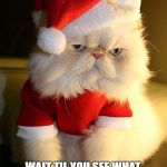 Santa Grumpy Cat | YOU THINK THIS IS CUTE, HELEN? WAIT TIL YOU SEE WHAT SANTA LEAVES IN YOUR SHOE. MAYNARD MODERN MEDIA | image tagged in santa grumpy cat | made w/ Imgflip meme maker