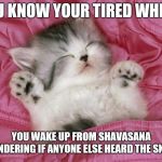 kitten sleeping | YOU KNOW YOUR TIRED WHEN... YOU WAKE UP FROM SHAVASANA WONDERING IF ANYONE ELSE HEARD THE SNORT | image tagged in kitten sleeping | made w/ Imgflip meme maker