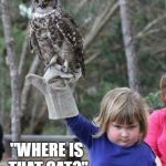 Girl with owl | "WHERE IS THAT CAT?" | image tagged in girl with owl | made w/ Imgflip meme maker