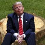 Trump on a stump