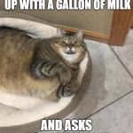 Wicket | YOUR PARTNER WALKS UP WITH A GALLON OF MILK; AND ASKS YOU TO SMELL IT | image tagged in wicket | made w/ Imgflip meme maker