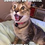 Excited Cat | WHEN YOU PUT YOUR SONGLIST ON SHUFFLE; AND YOUR ALL-TIME FAVORITE SONG STARTS FIRST. | image tagged in excited cat | made w/ Imgflip meme maker