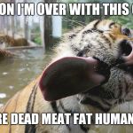 It's so cute I almost forget it wants to kill somebody. | AS SOON I'M OVER WITH THIS GLASS; YOU ARE DEAD MEAT FAT HUMAN CHILD | image tagged in tiger licking glass | made w/ Imgflip meme maker