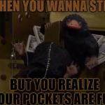 Niffler | WHEN YOU WANNA STEAL; BUT YOU REALIZE YOUR POCKETS ARE FULL | image tagged in niffler,scumbag | made w/ Imgflip meme maker