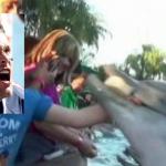 Dolphin bites Brady