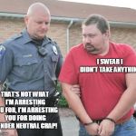 man get arrested | I SWEAR I DIDN'T TAKE ANYTHING; THAT'S NOT WHAT I'M ARRESTING YOU FOR, I'M ARRESTING YOU FOR DOING GENDER NEUTRAL CRAP! | image tagged in man get arrested | made w/ Imgflip meme maker