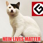 Hitler Cat | NEIN LIVES MATTER | image tagged in hitler cat,grammar nazi,memes,meanwhile on imgflip | made w/ Imgflip meme maker