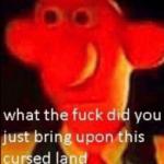 What the fuck did you just bring upon this cursed land meme
