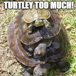 Turtles All The Way Down | THIS IS TURTLEY TOO MUCH! | image tagged in turtles all the way down | made w/ Imgflip meme maker