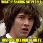 What if | WHAT IF SHARKS EAT PEOPLE, JUST SO THEY CAN BE ON TV. | image tagged in what if | made w/ Imgflip meme maker