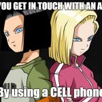 Android 17 and Android 18 | HOW DO YOU GET IN TOUCH WITH AN ANDROID? By using a CELL phone | image tagged in android 17 and android 18 | made w/ Imgflip meme maker