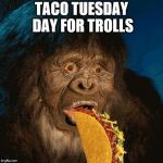 taco tuesday | TACO TUESDAY DAY FOR TROLLS | image tagged in taco troll,taco tuesday,meme,memes,funny meme | made w/ Imgflip meme maker
